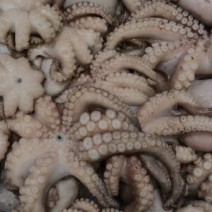 Baby Octopus - 500g