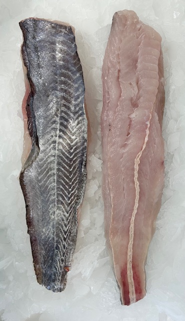 Fresh Blue Grenadier Fillet - 500g